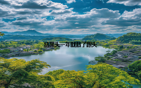 结果头一年就栽了跟头