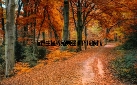 而野生鱼养殖则强调环境模拟