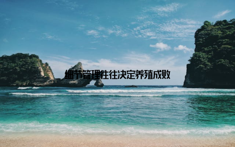 细节管理往往决定养殖成败