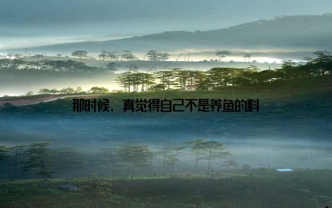 那时候, 真觉得自己不是养鱼的料