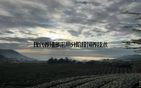 现代养殖多采用分阶段饲养技术