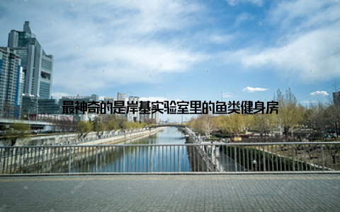 最神奇的是岸基实验室里的鱼类健身房