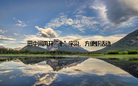 田中间再开“十”字沟, 方便虾活动