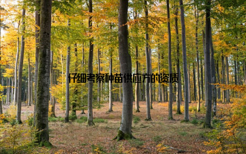 仔细考察种苗供应方的资质