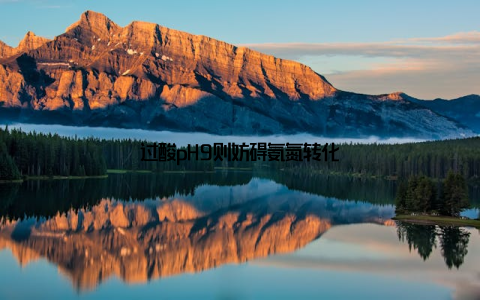 过酸pH9则妨碍氨氮转化