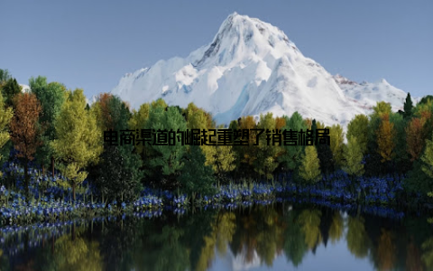 电商渠道的崛起重塑了销售格局