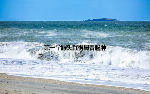 第一个跟头栽得鼻青脸肿