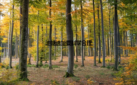 池塘选址要科学合理