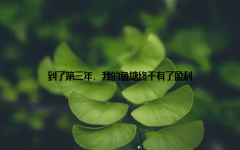 到了第三年, 我的鱼塘终于有了盈利