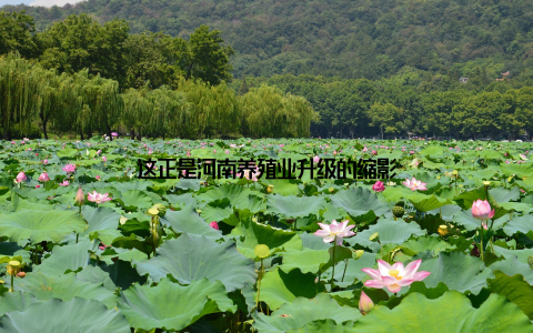 这正是河南养殖业升级的缩影