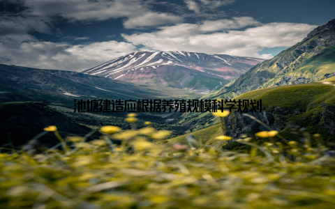 池塘建造应根据养殖规模科学规划