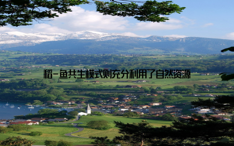 稻-鱼共生模式则充分利用了自然资源