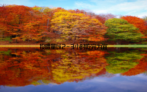 投喂量以2-3小时吃完为宜