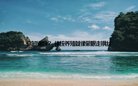 你知道吗? 传统养殖就像蒙眼走钢丝