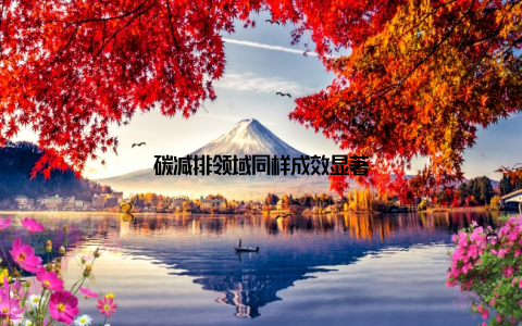 碳减排领域同样成效显著