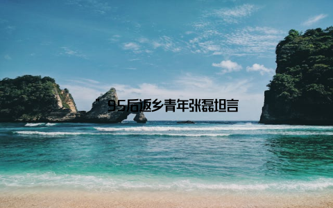 ”95后返乡青年张磊坦言