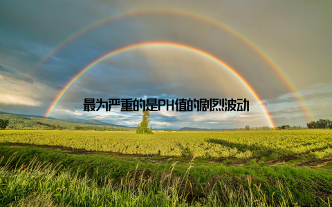 最为严重的是PH值的剧烈波动