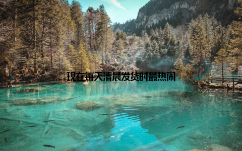 现在每天清晨发货时最热闹