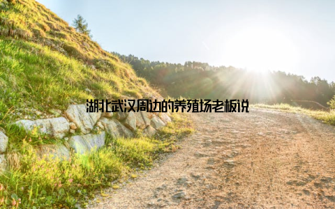 湖北武汉周边的养殖场老板说