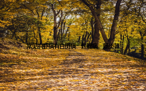 常见的虾病有白斑病、烂鳃病、肠炎等