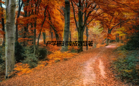 产学研对接成效显著