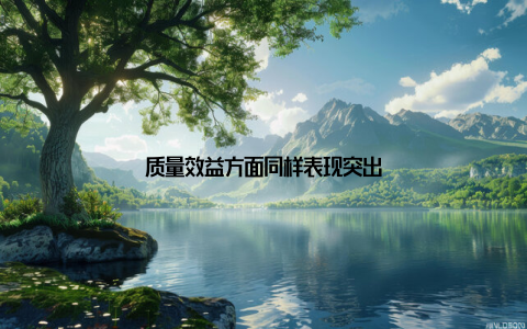 质量效益方面同样表现突出