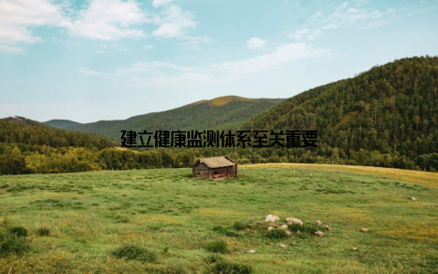 建立健康监测体系至关重要