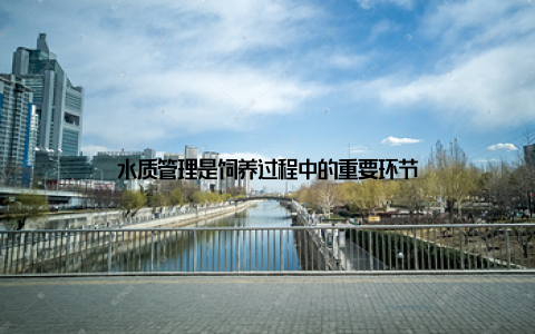 水质管理是饲养过程中的重要环节