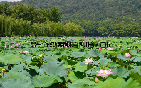 另一个成功案例来自四川省内江市