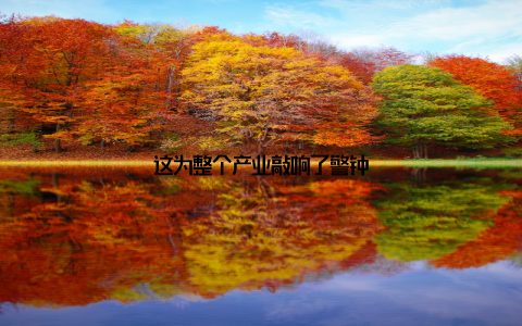 这为整个产业敲响了警钟