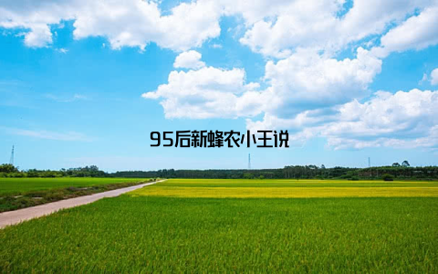 95后新蜂农小王说