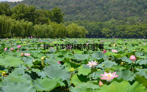 每一个步骤我都亲自盯着