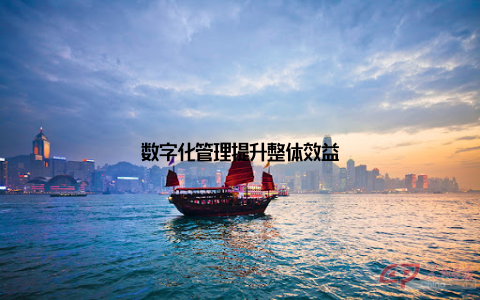 数字化管理提升整体效益