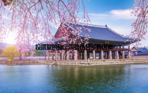 投喂量的确定需要结合多种因素