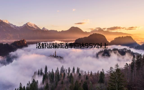 活虾运输成活率应达95%以上