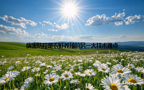 病害防控是农虾养殖的另一大技术难点