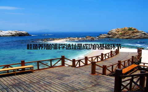 桂鱼养殖的科学选址是成功的基础环节