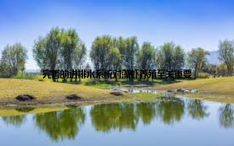 完善的进排水系统对藻虾养殖至关重要