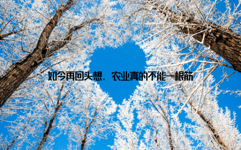 如今再回头想, 农业真的不能一根筋