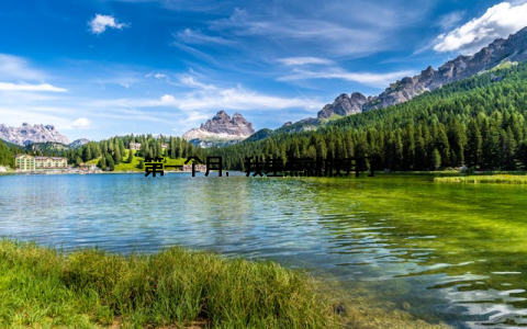 第一个月, 我差点就放弃了