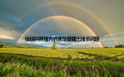 传统的养殖方式逐渐暴露出诸多问题