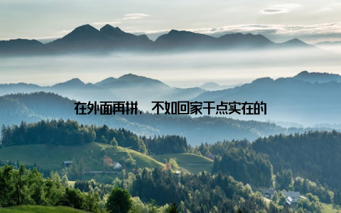 在外面再拼, 不如回家干点实在的