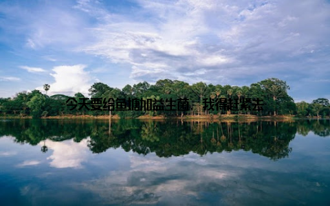 今天要给鱼塘加益生菌, 我得赶紧去