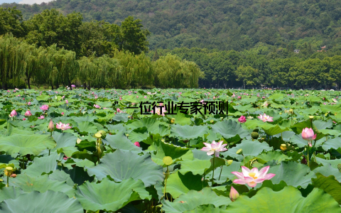 ”一位行业专家预测