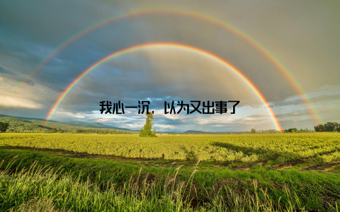 我心一沉, 以为又出事了