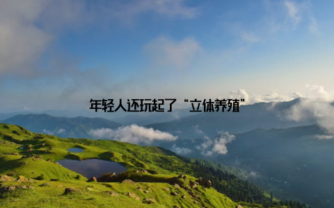 年轻人还玩起了“立体养殖”