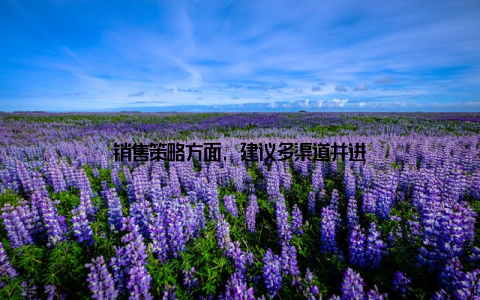 销售策略方面, 建议多渠道并进