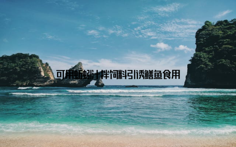 可用蚯蚓汁拌饲料引诱鳝鱼食用