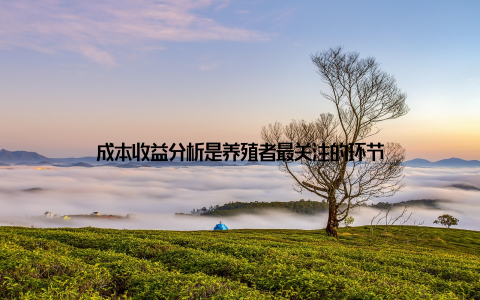 成本收益分析是养殖者最关注的环节