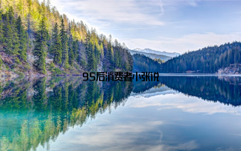 95后消费者小张说